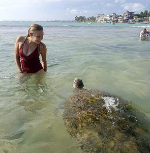 Meet your Posher, Alexandra